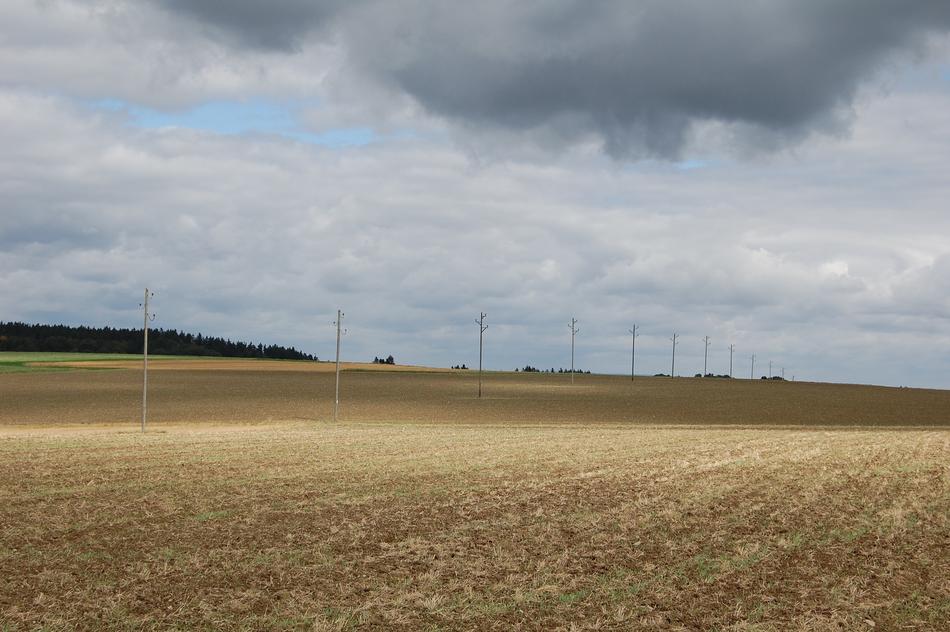 Landscape of the beautiful and colorful field near the trees, in the autumn, under the clouds