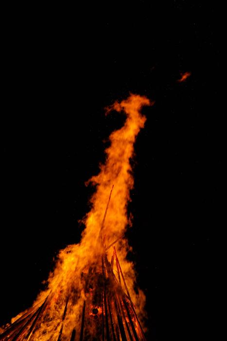 Orange Flame at Midsummer