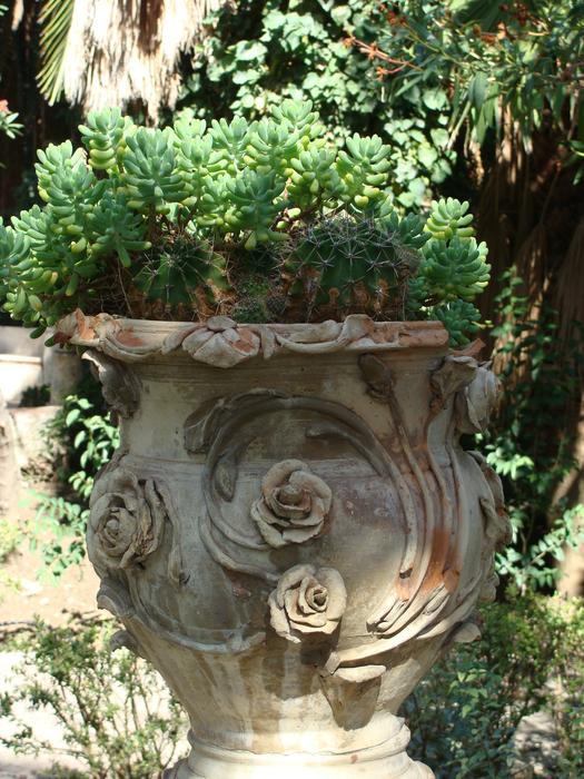pot of herbs in a park in sicily