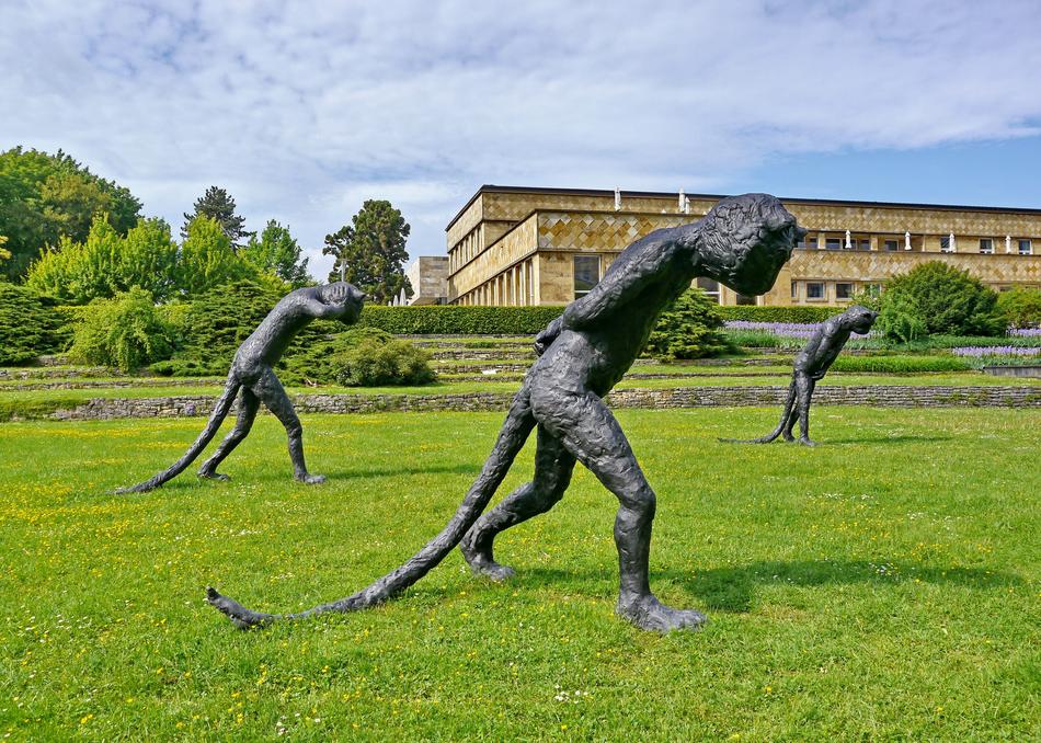 sculptures on a green meadow near the college