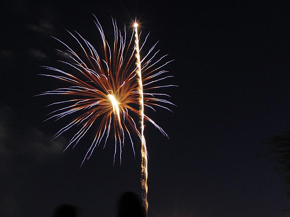 golden Fireworks explosions at dark sky