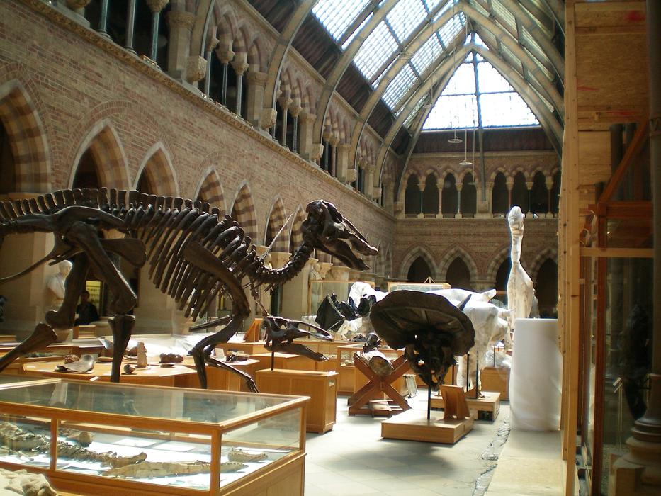 Muzeum in Oxford, England