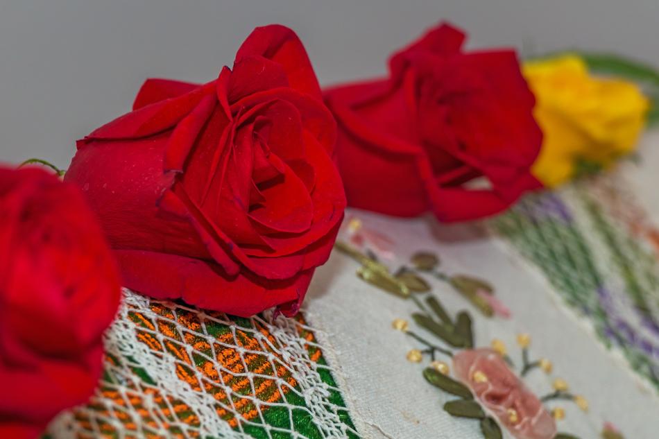impressively beautiful Rose Red