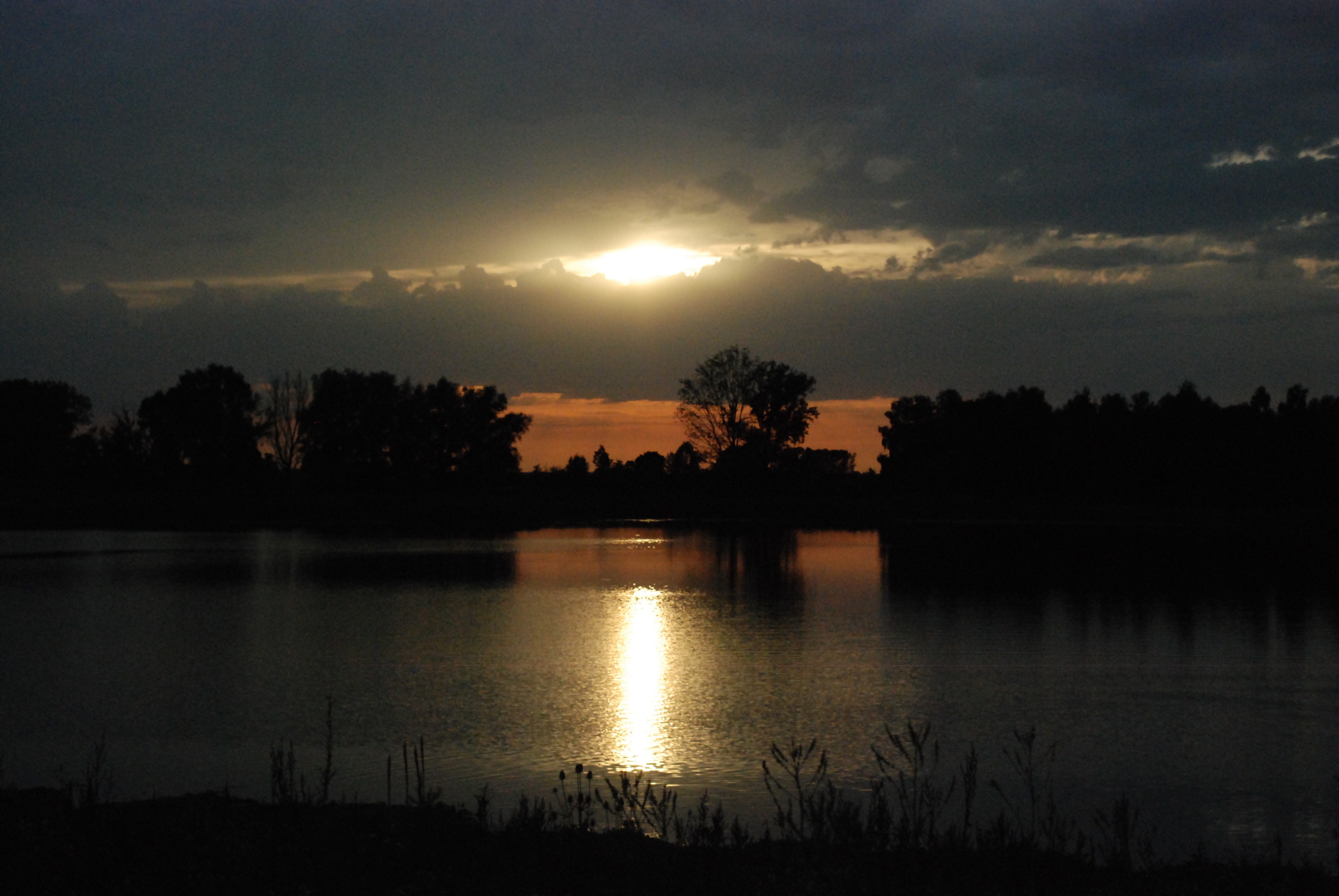 Evening Sun Lake Shining free image download