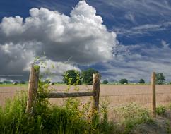 barbed wire Fence in Farmland