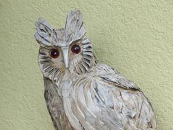 Owl Figure Face