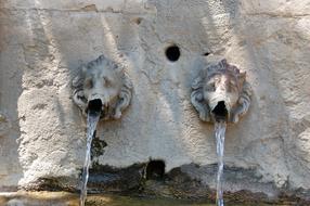 stone Fountain Water lion ornament