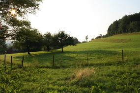 Sun Morning over green pasture in the countryside