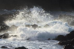 sea Water Wave Spray