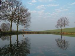 Beautiful landscape of the pond with reflections, among the colorful plants, in the morning