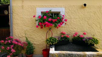 Trough Floral Decorations on walll