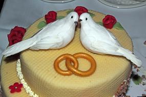 Pigeons and Rings on Wedding Cake