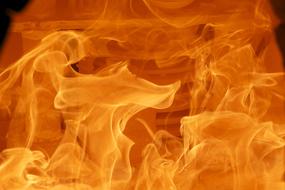 Fire Wood Flame