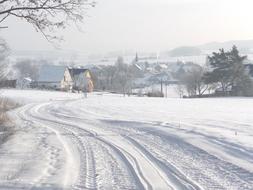 Winter Tracks In The Snow