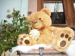 teddy bear on the background of the window