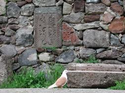 Peace Dove Armenia Stone Cross