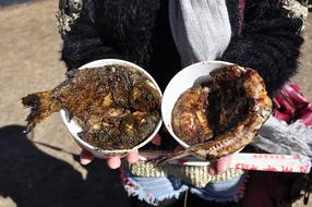 grilled fish with a side dish in a restaurant