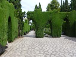 Garden in Alhambra Andalusia