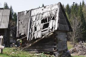 ruined wooden hut in the forest