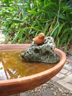 Birdbath at Garden Ornamental