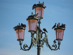 Venice Piazza San Marc