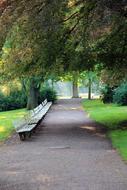 Beautiful and colorful landscape of the park with path with benches, among the plants