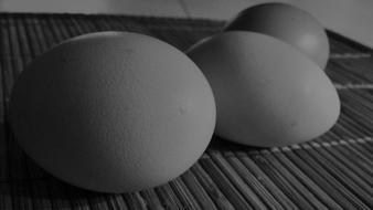 Eggs Black And White