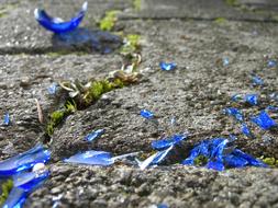 Glass on Stone pavement