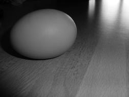Black And White photo of Egg