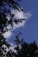 Sky Cloud Blue