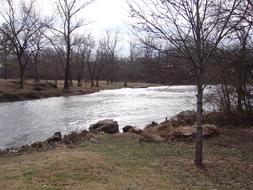 stream among bare trees