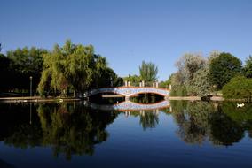 landscape of Bridge Park Lake