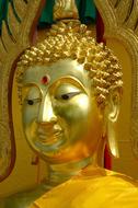 Buddah Gold as a Portrait