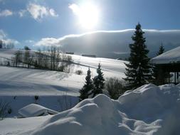 hut, winter, deep snow