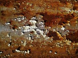 Rust Flaky White Paint Crusty