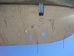 Wing Silver Covered close-up