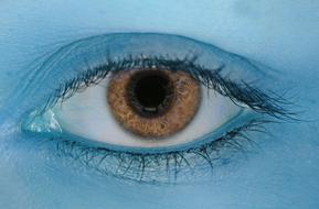 Color Blue Eye