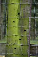 green Fence Post Pile