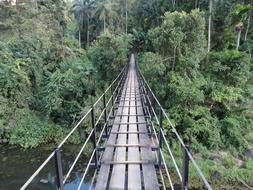 Broken Old Danger Bridge