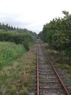 railway, green trees