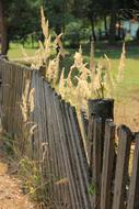 Wooden fence among the colorful plants, on the beautiful landscape, in the autumn