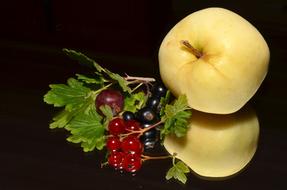 Red Currant and Apple