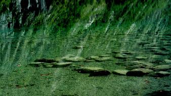 stones in clear water on a sunny day