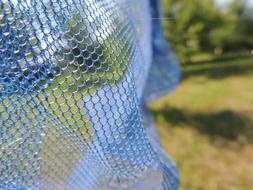 Close-up of the blue network on the meadow, among the colorful and beautiful plants
