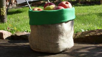 Apple Bag at Autumn Golden