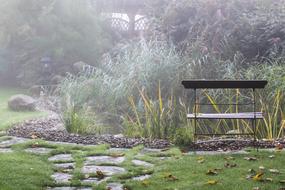 Golden Autumn Garden