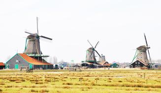 Beautiful and colorful landscape of the windmill village, among the plants in Netherlands
