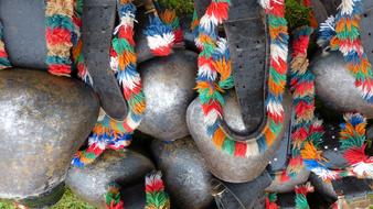 Allgau Nesselwang colorful clamps