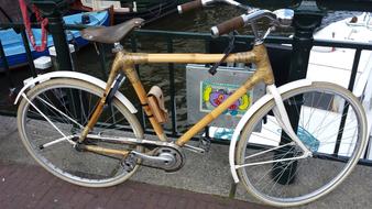 Bamboo Bike