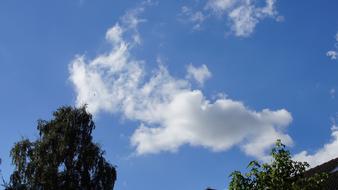 white clouds in the clear sky above the trees